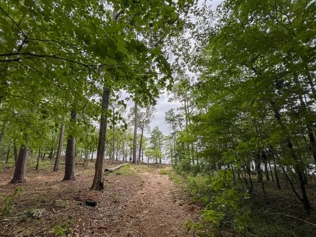 Photo of T-2 Arledge Trail/Off Gateway Meadows