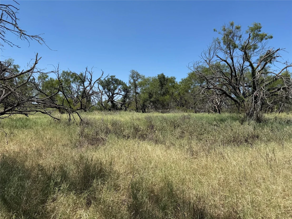 Photo of 501 County Road 376