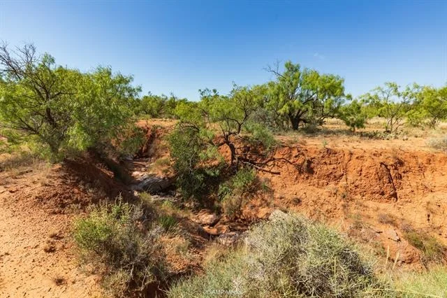 Photo of 1363 County Road 441