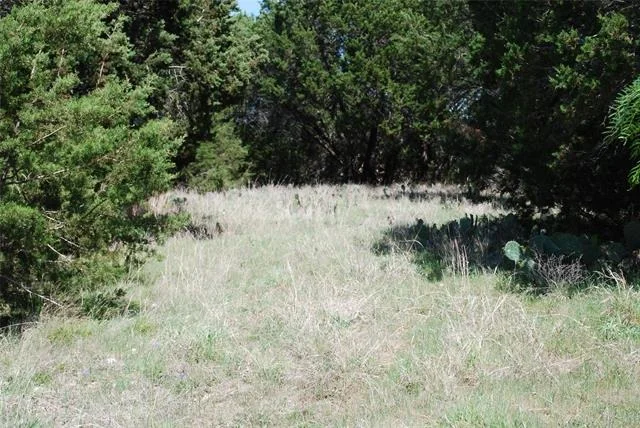 Photo of 19016 Bluebonnet Drive