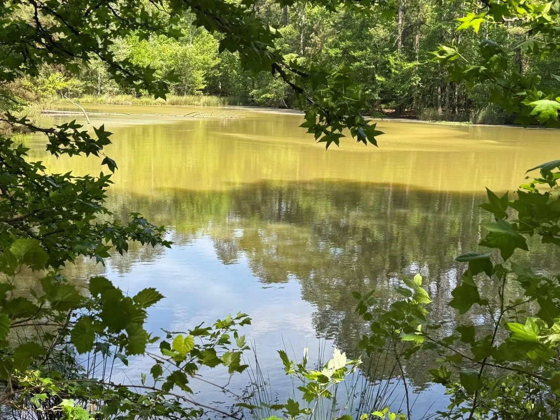 Photo of 16649 County Road 4252D