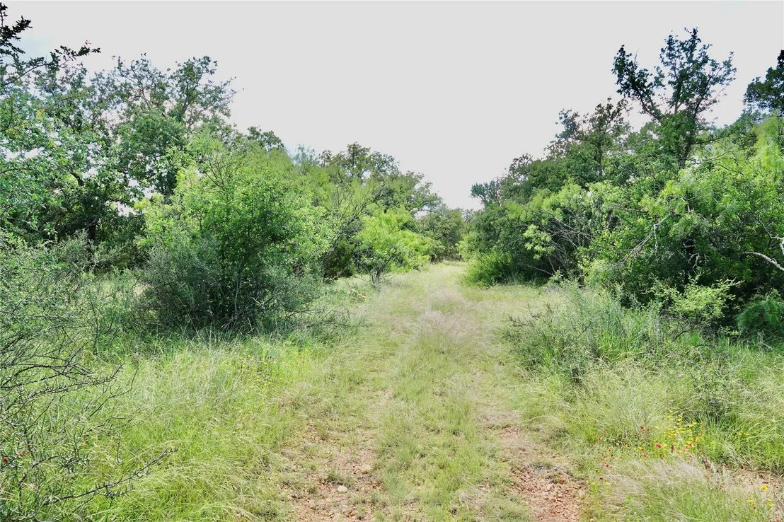 Photo of 219 CR 550