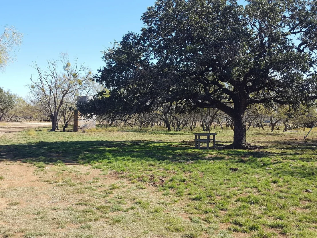 Photo of 824 CR 409