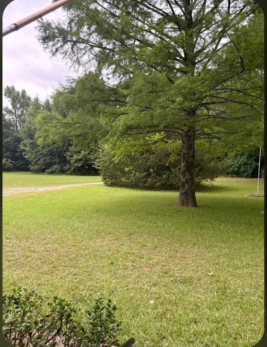 Photo of 741 VZ County Road 4134