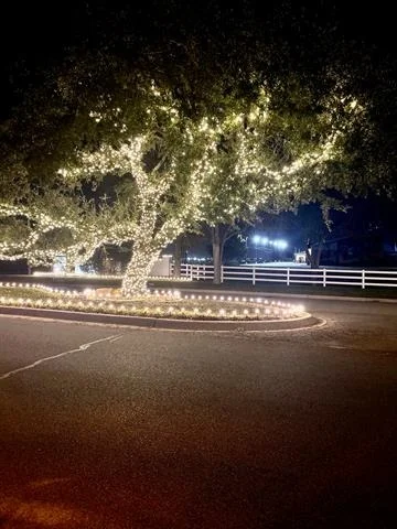 Photo of 4500 Knoll Ridge Drive