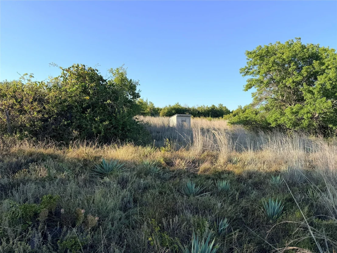 Photo of 37 Pr 224