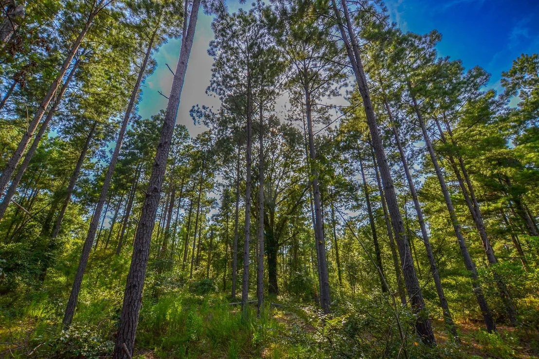 Photo of Tract 1 Hwy 155