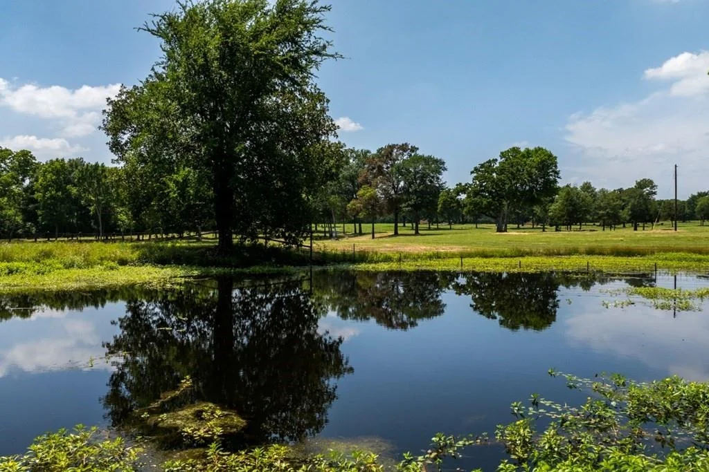 Photo of 455 Vz County Road 2808