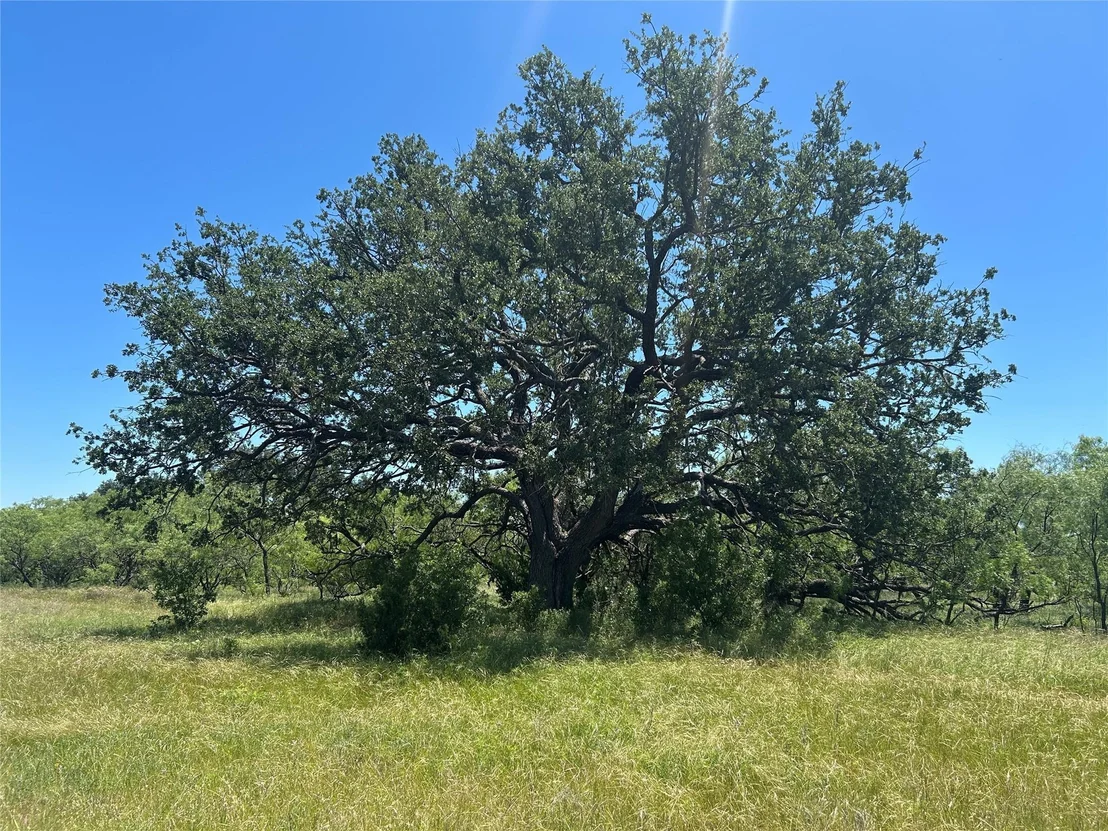 Photo of 824 CR 409