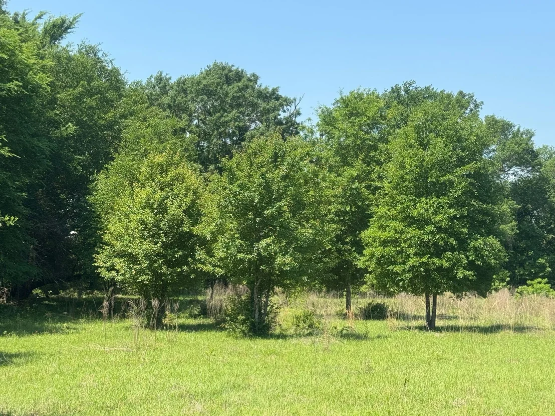 Photo of 0 S US-79 Highway