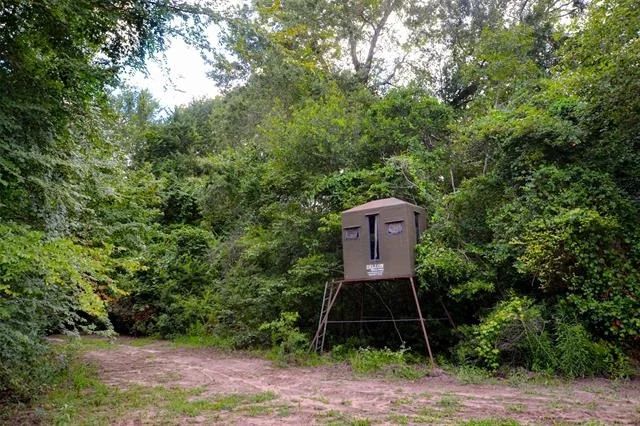 Photo of 8690 County Road 1119