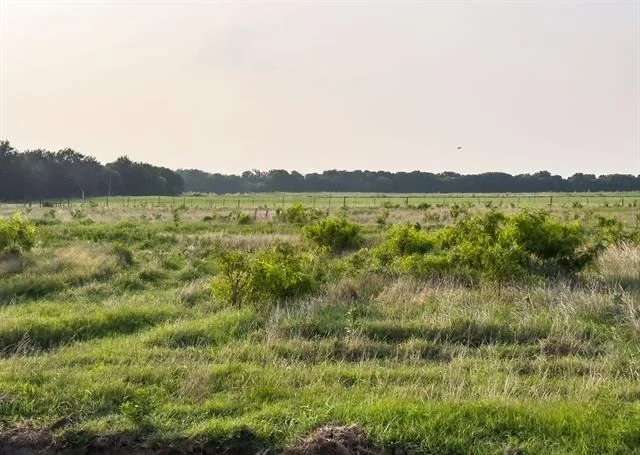 Photo of LOT 17 ELM BRANCH