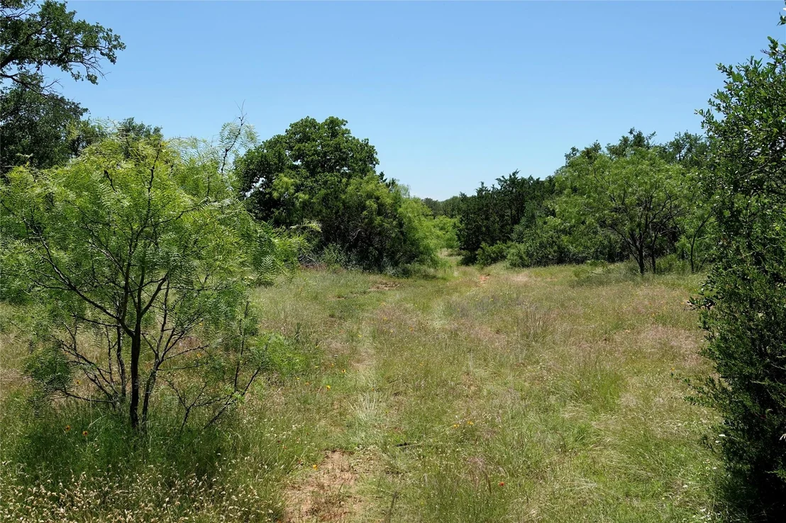 Photo of 219 CR 550