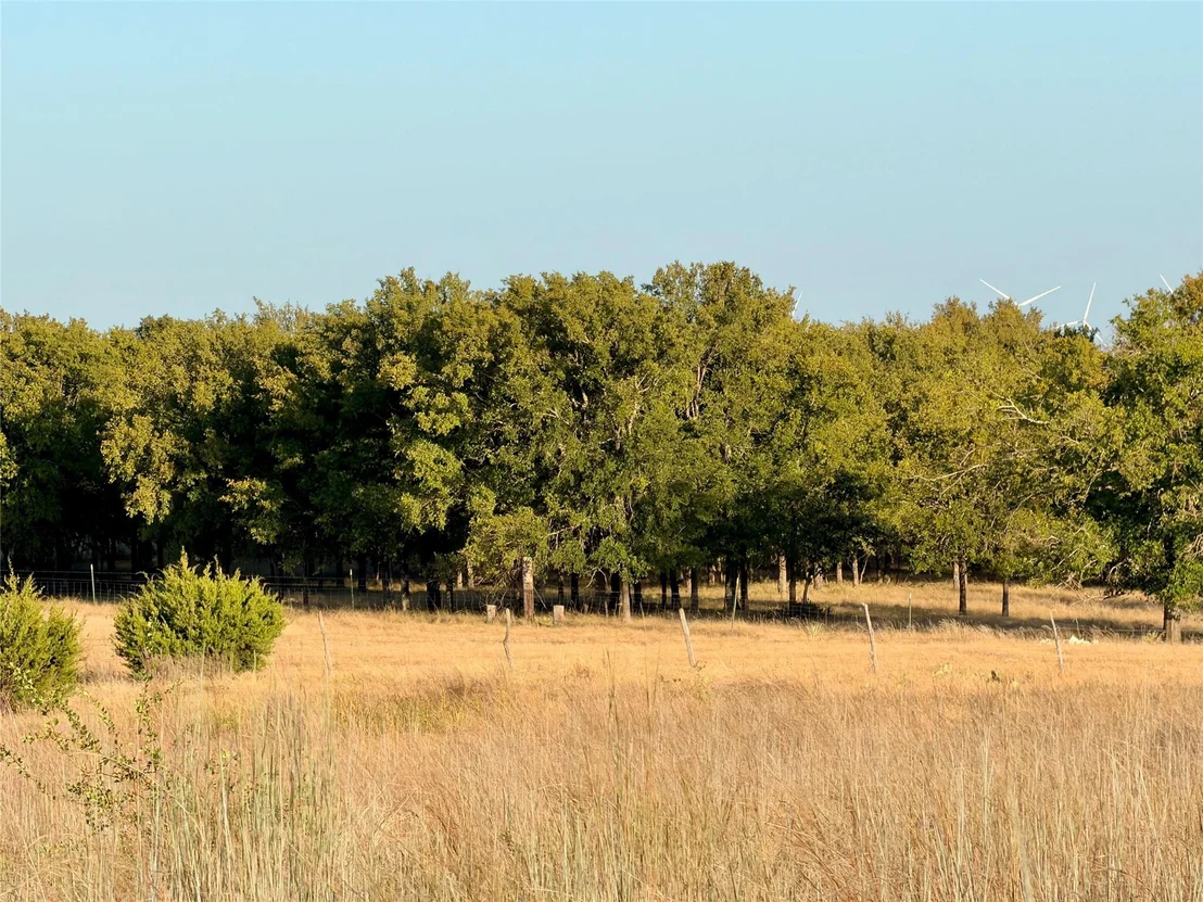 Photo of 37 Pr 224