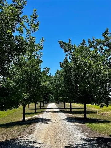Photo of 7846 County Road 452