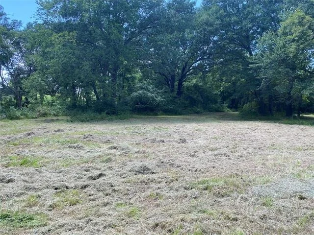 Photo of 1580 County Road 1150