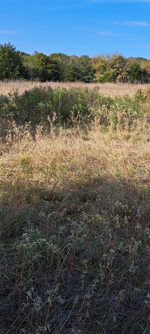 Photo of 572 LCR 424