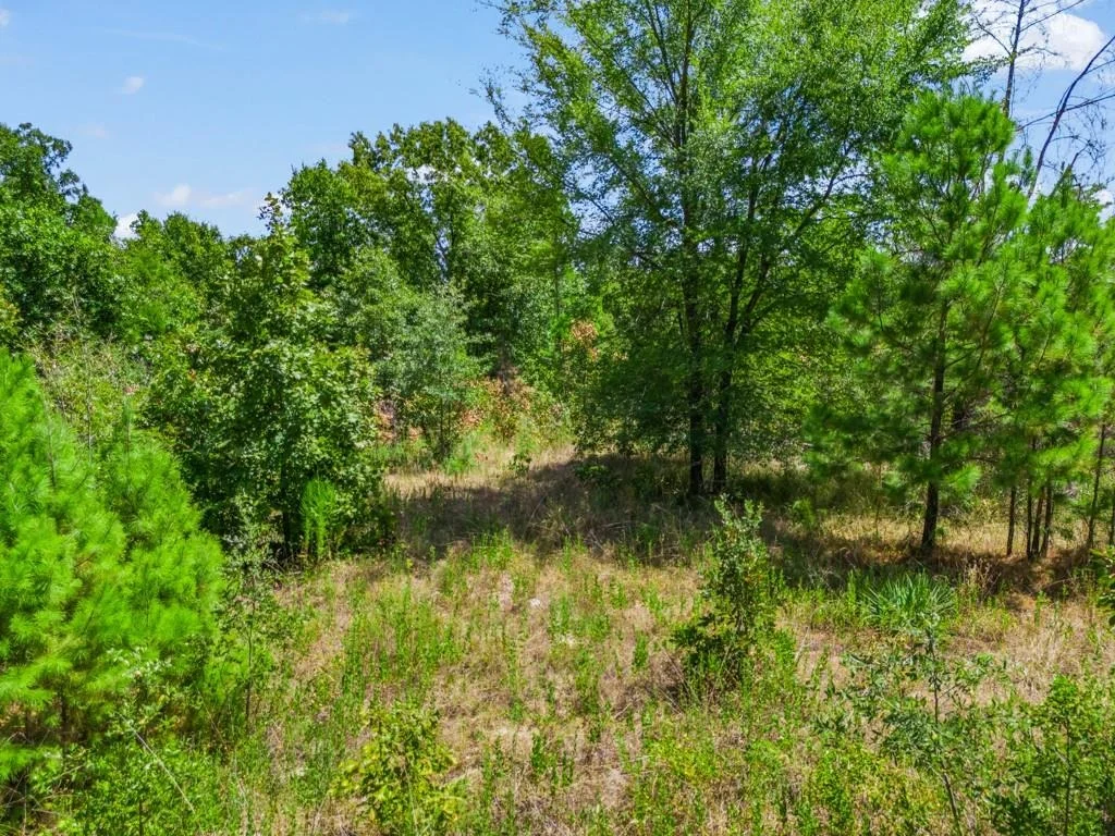 Photo of TBD CR 3854 4.542 Acres