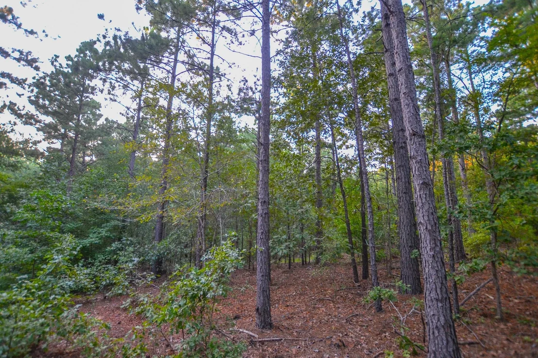 Photo of Tract 1 Hwy 155