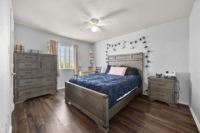Photo of 2025 Aster Trail