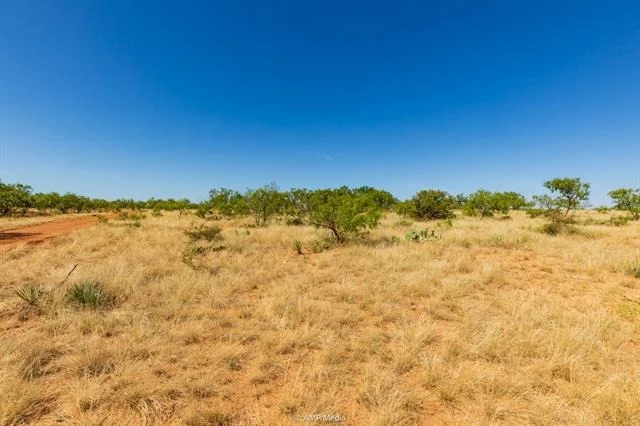 Photo of 1363 County Road 441