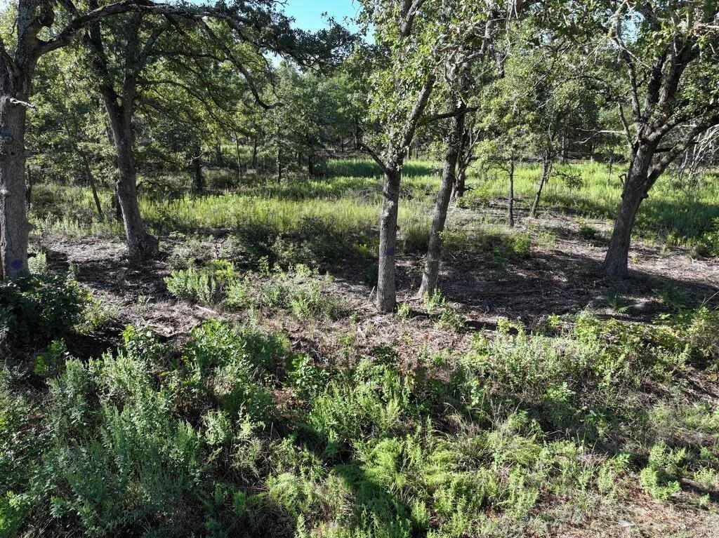 Photo of 8602 CR 2448