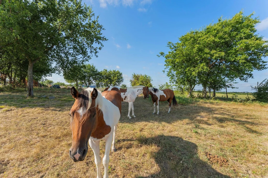 Photo of 5634 County Road 1094