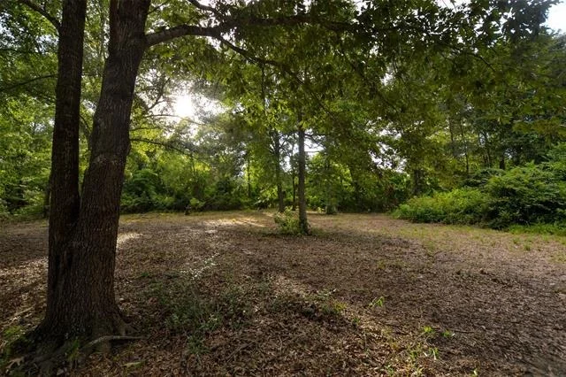 Photo of 8690 County Road 1119