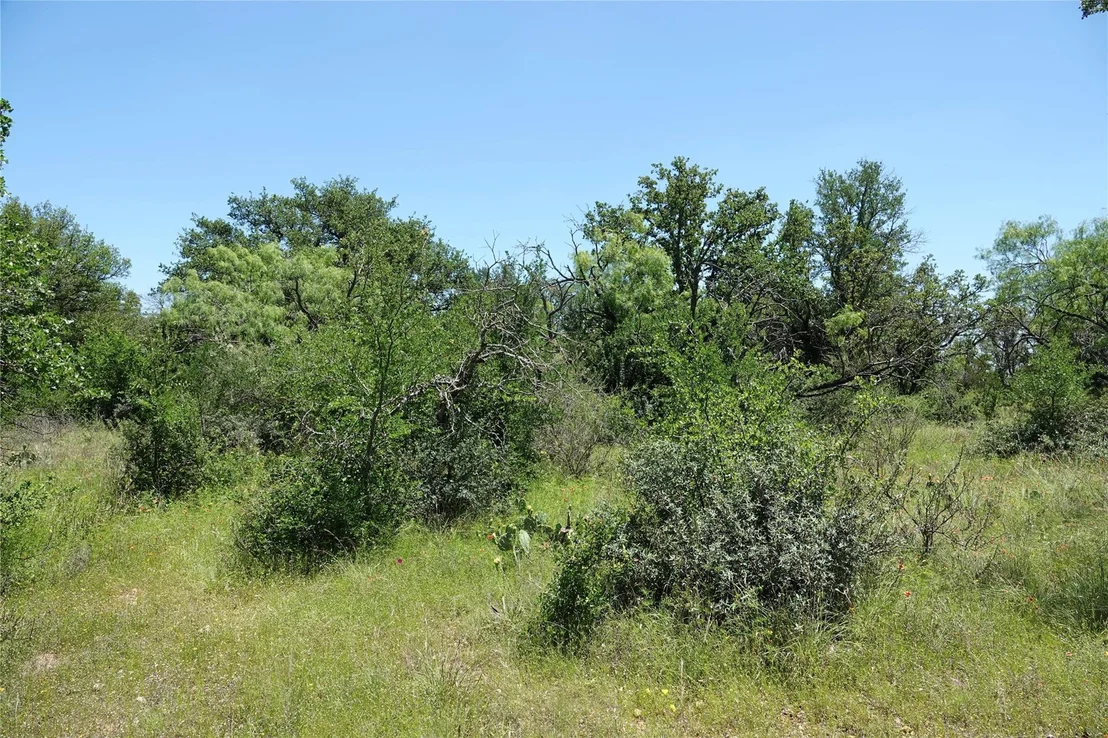 Photo of 219 CR 550