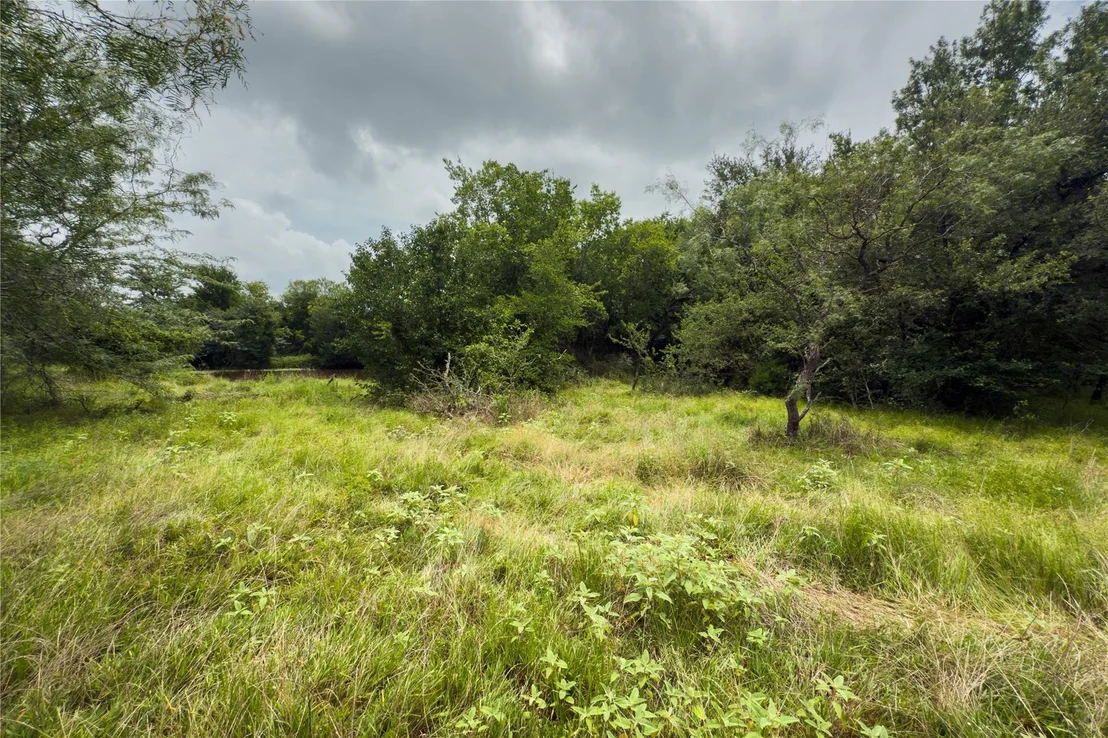 Photo of Lot 5 County Road 173