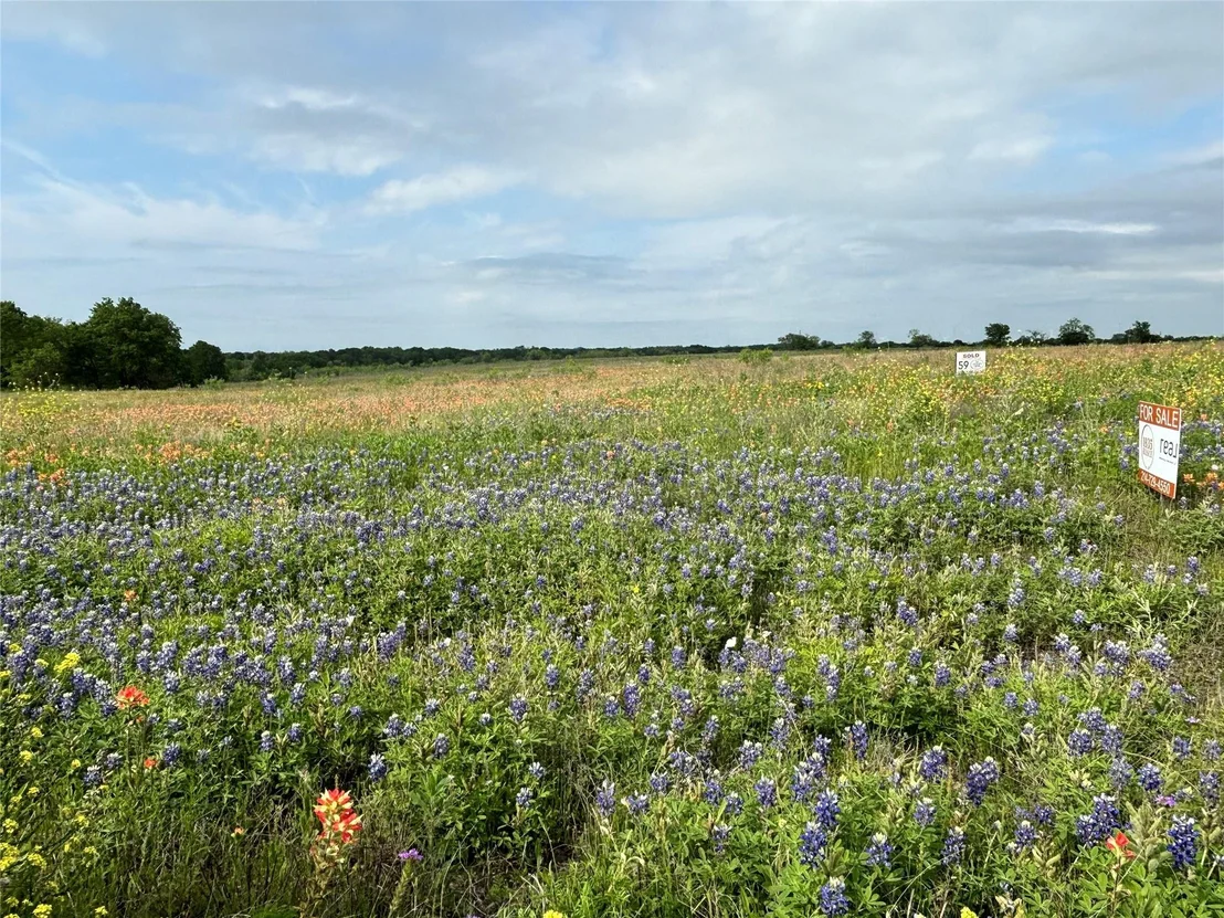 Photo of TBD PR 373 County Road 3373