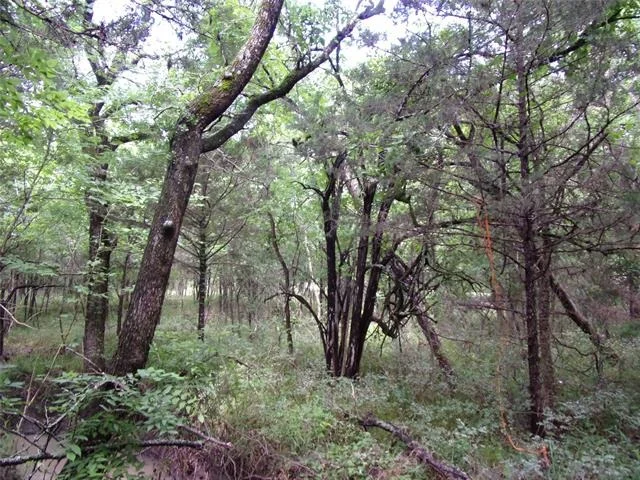 Photo of 4188 Willow Oak Bend