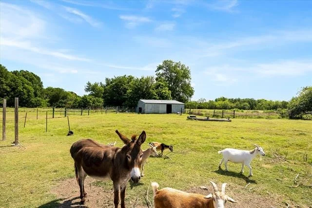 Photo of 5848 County Road 283