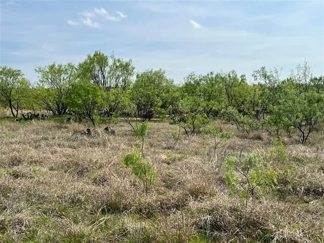 Photo of 7565 Hwy 377