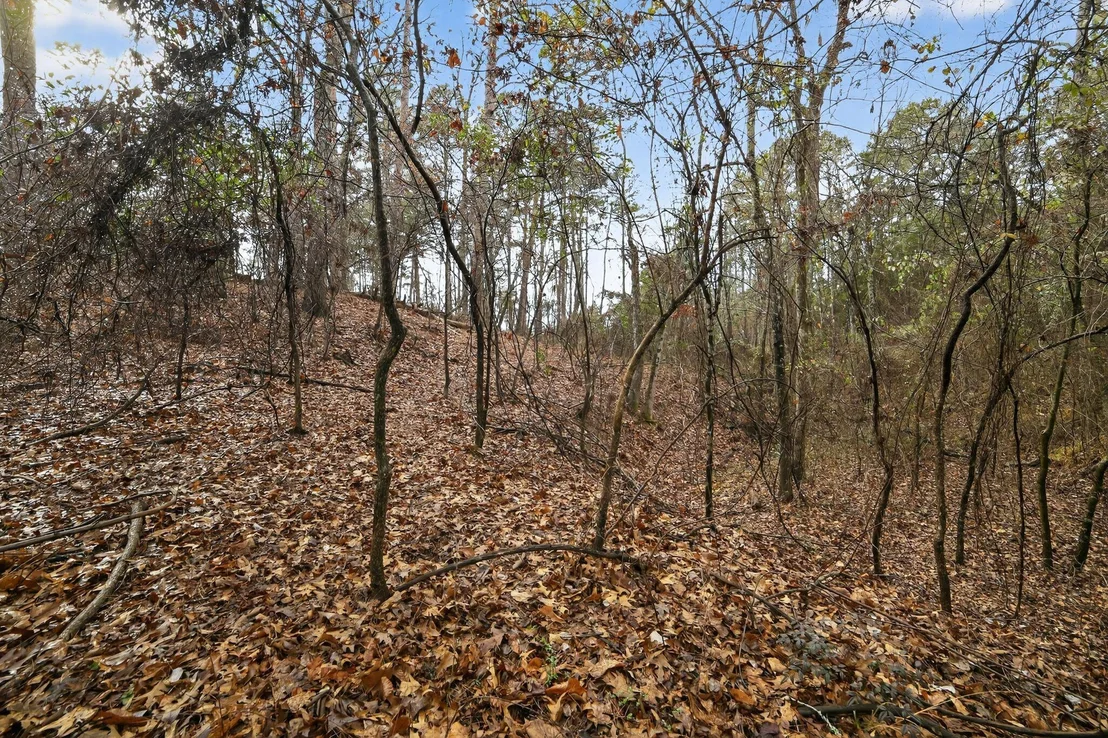 Photo of 868 County Road 2920