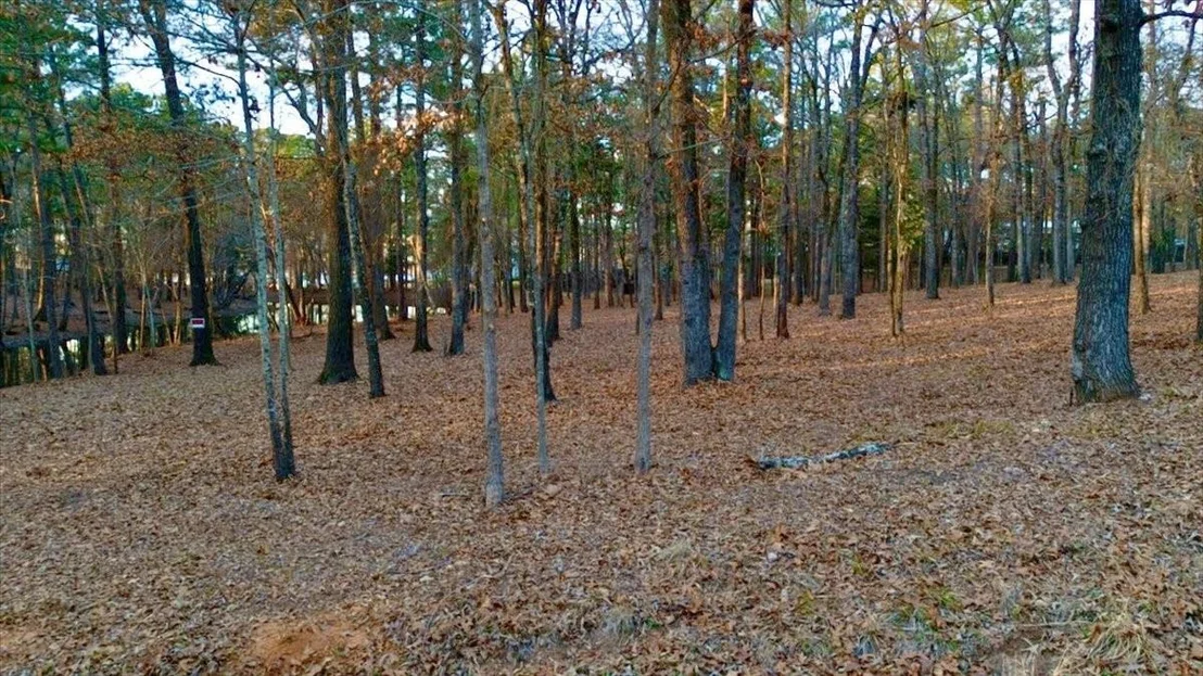 Photo of Unit 11E at TBD Hickory Trail