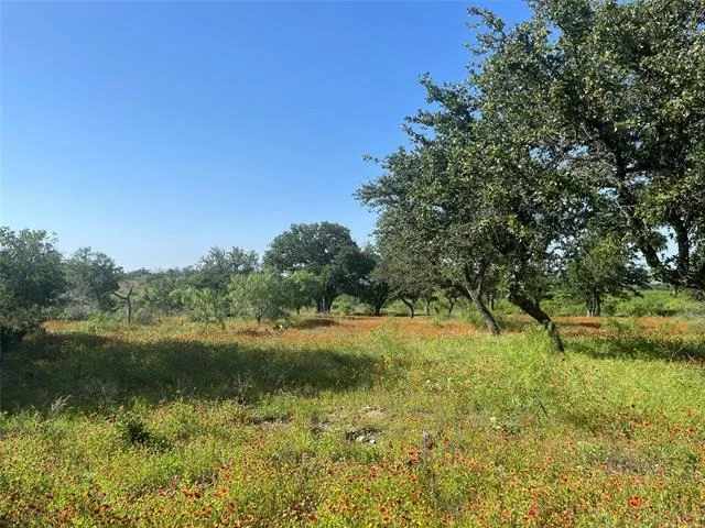 Photo of 24 County Road 510