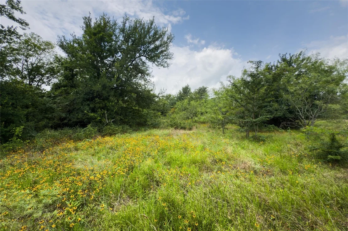 Photo of Lot 9 County Road 173