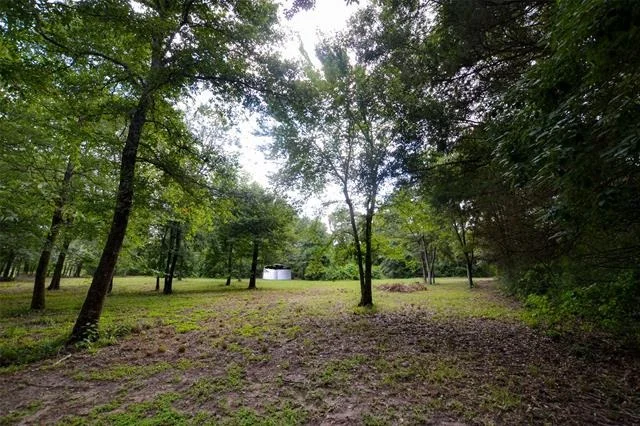 Photo of 8690 County Road 1119
