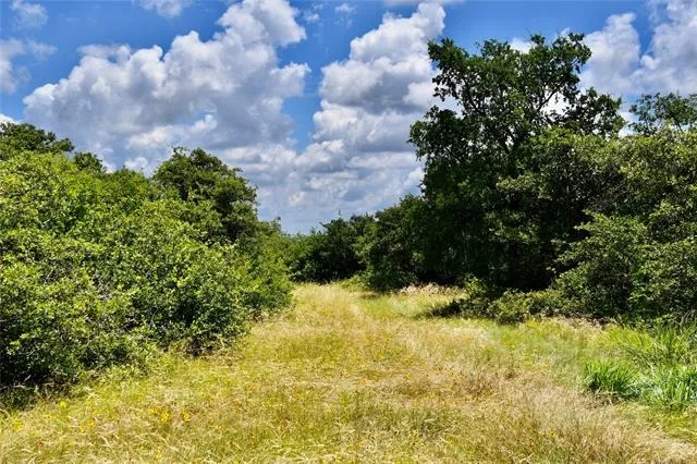 Photo of 16967 CR 290
