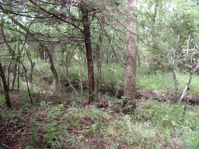 Photo of 4188 Willow Oak Bend