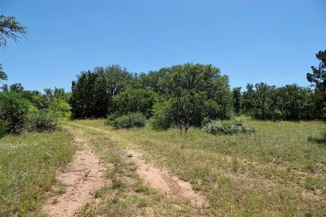 Photo of 219 CR 550