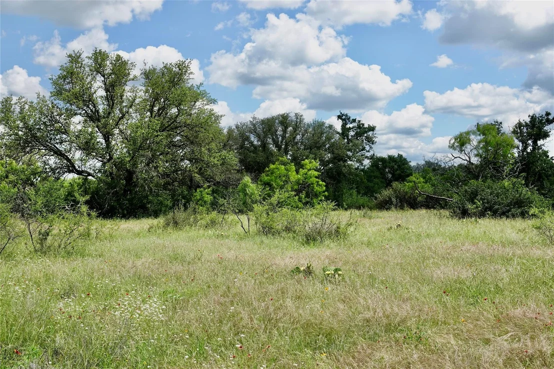 Photo of 219 CR 550