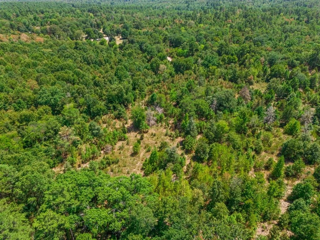 Photo of TBD CR 3854 4.542 Acres