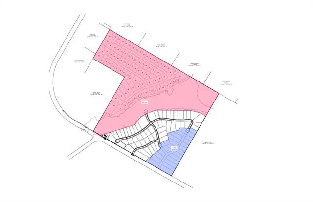 Photo of TBD TBD