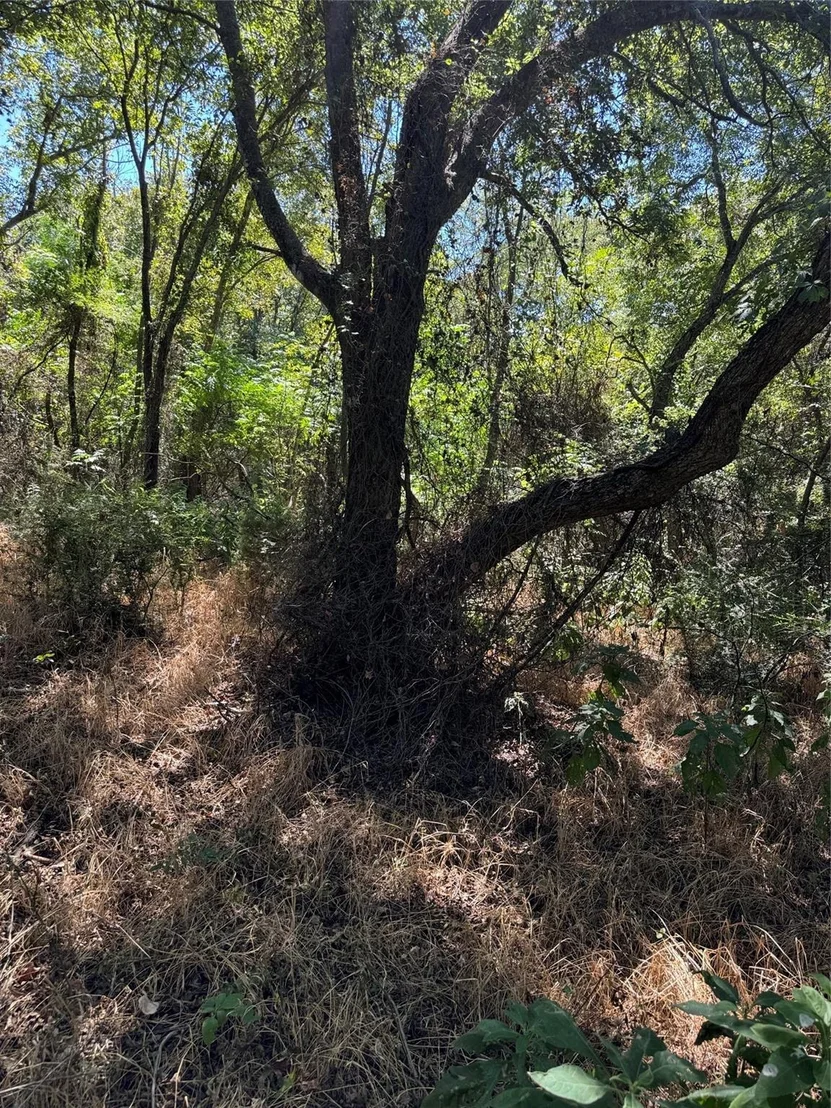 Photo of 15037 Golf Drive
