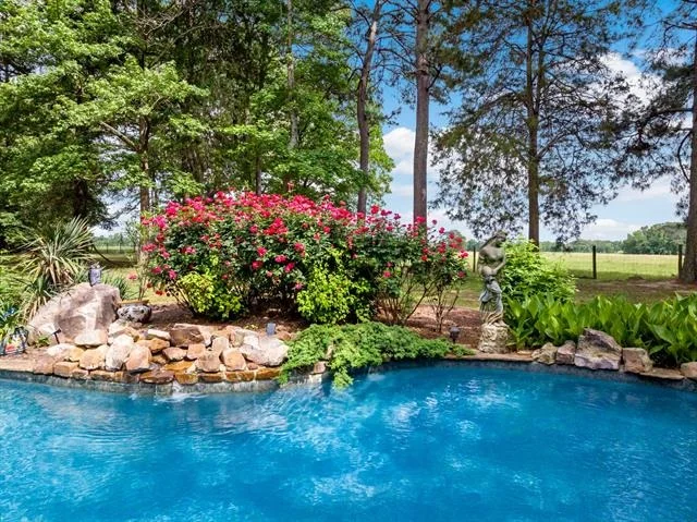 Photo of 660 County Road 1334
