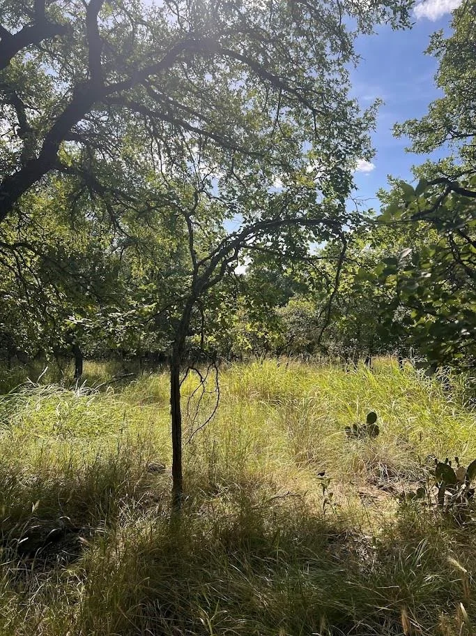 Photo of 927 Cutter Circle