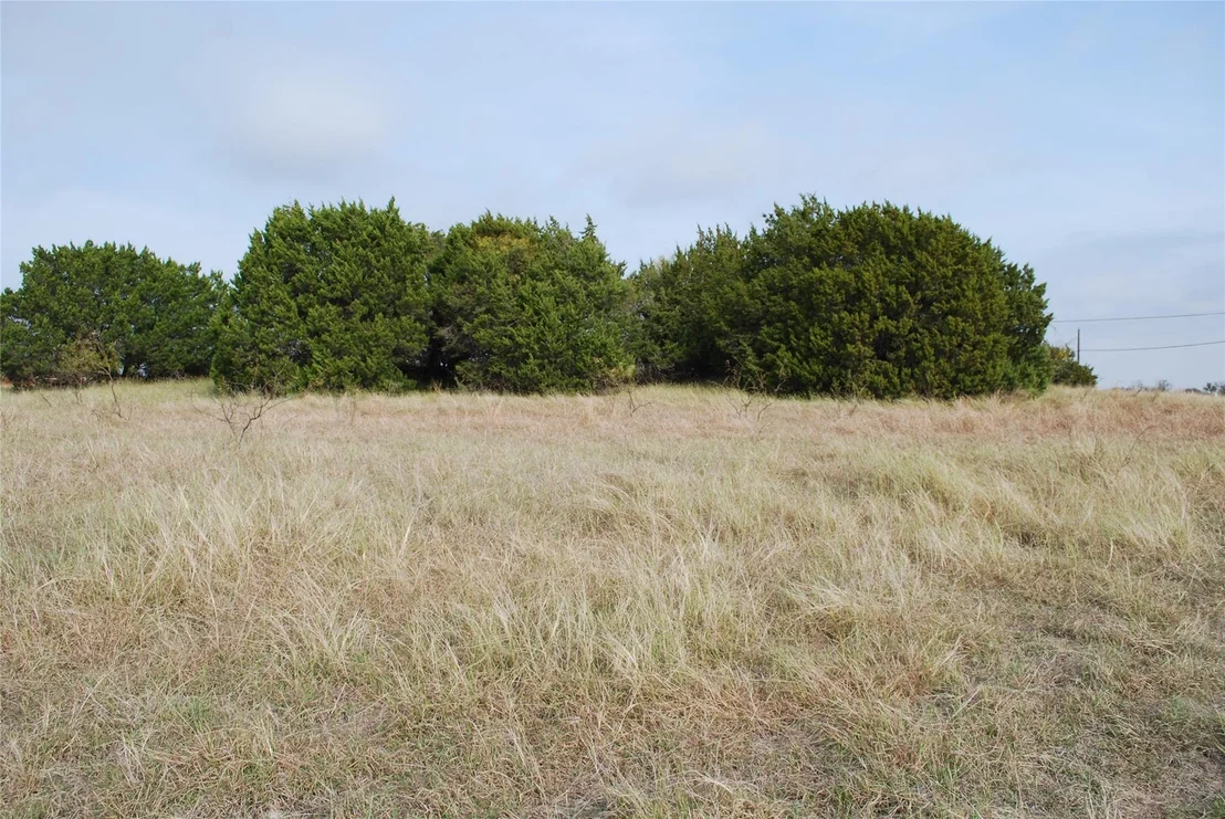 Photo of 19090 White Bluff Drive
