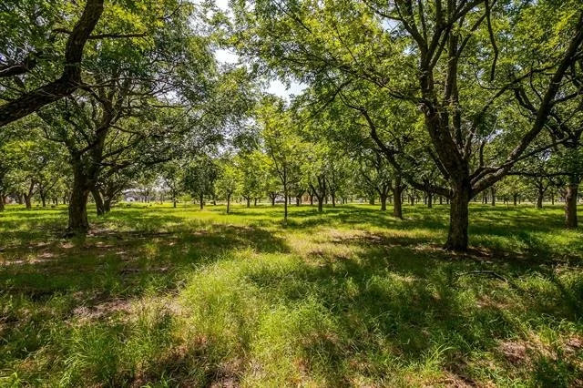 Photo of 2525 Buckskin Drive